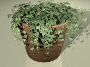ivy plant 3D Model