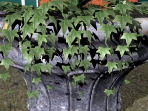garden urn 3Dモデル