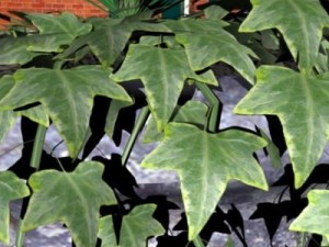 garden urn 3Dモデル