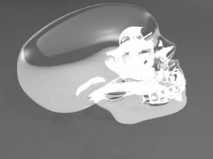 crystalskull 3D Model