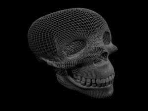 crystalskull 3D 模型