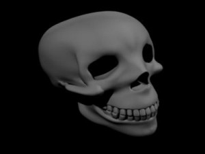 crystalskull 3D 模型