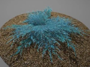 juniperbluecarpet 3D Model