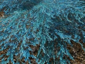 juniperbluecarpet 3D Модель