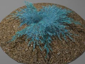 juniperbluecarpet 3D Model