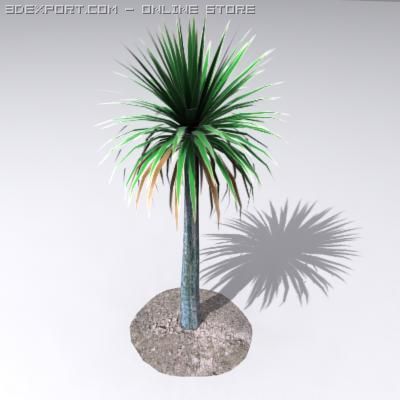 cordylineaustralis Modèle 3D .c4d .max .obj .3ds .fbx .stl .blend 