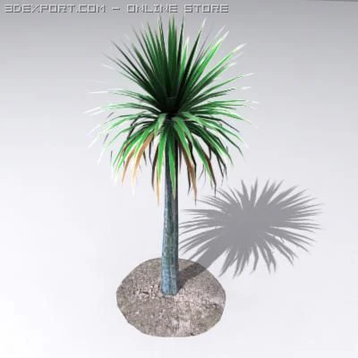 cordylineaustralis 3D Model .c4d .max .obj .3ds .fbx .stl .blend 