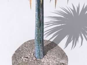 cordylineaustralis Modèle 3D
