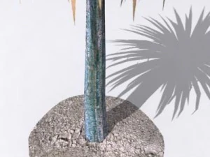 cordylineaustralis 3D Model