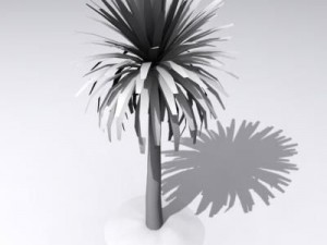 cordylineaustralis Modèle 3D