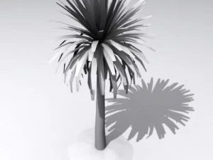 cordylineaustralis 3D Model