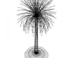 cordylineaustralis Modèle 3D
