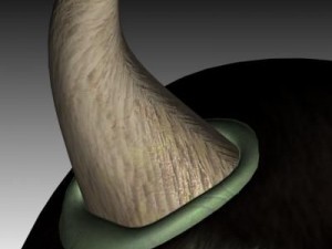 cyclops head 3D Model