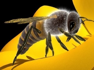 bee 3Dモデル
