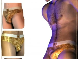 dk 01  realisticy panties for david 3D Model