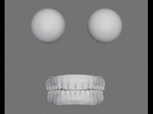 jennifer 3D Model