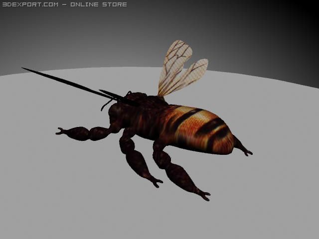bee 3D मॉडल .c4d .max .obj .3ds .fbx .stl .blend 