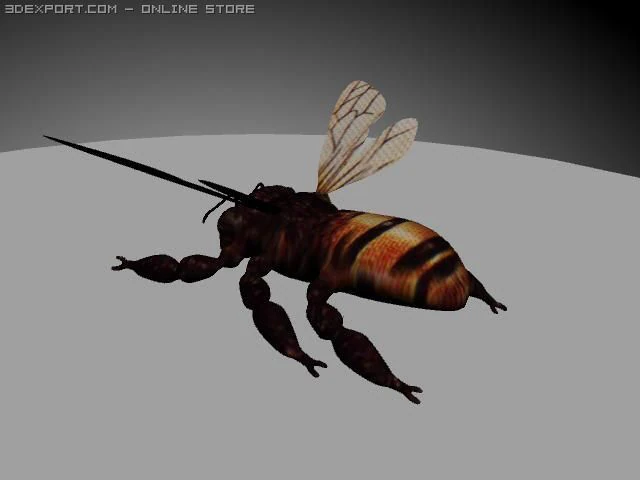 bee 3D Model .c4d .max .obj .3ds .fbx .stl .blend 