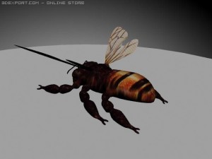 bee Model 3D