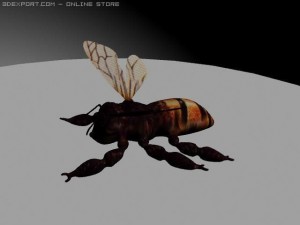 bee 3D मॉडल