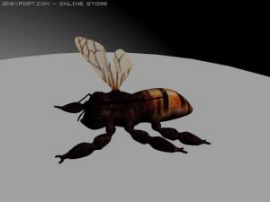 bee 3D Model