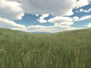 grass 3D Model