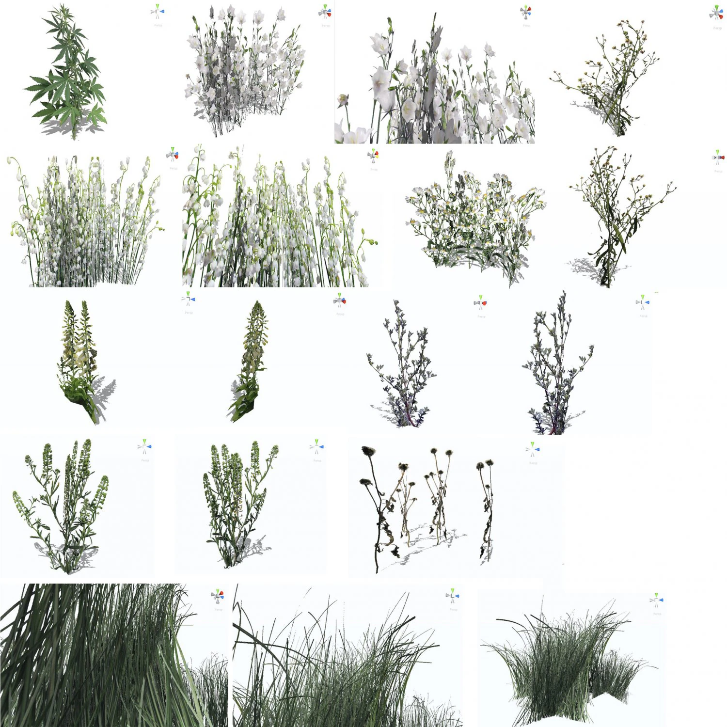 grass 3D Model .c4d .max .obj .3ds .fbx .stl .blend 