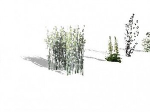 grass 3D Model