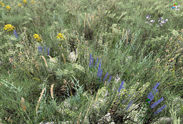 grass CG Текстури .c4d .max .obj .3ds .fbx .stl .blend 