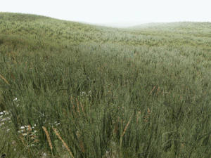 grass CG Textures