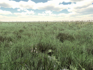 grass CG Текстури