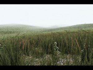 grass CG Текстури