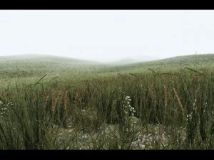 grass CG Textures
