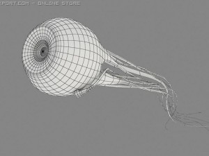 scifeye Modèle 3D
