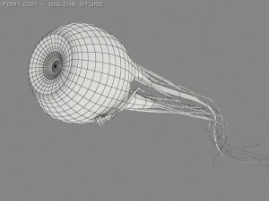 scifeye 3D Model