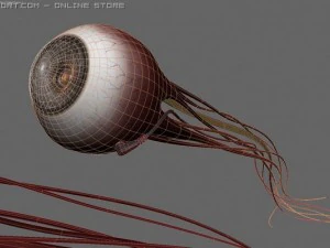 scifeye 3D Model