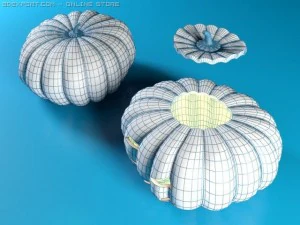 pumpkins halloween or not 3D Model