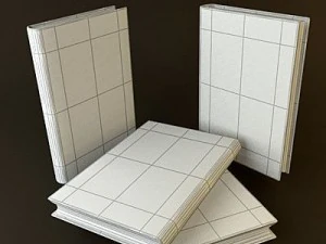 old book 2 3D Model