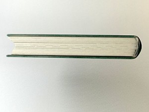 old book 3 3D Model