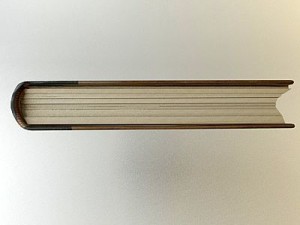 old book 4 3D Model