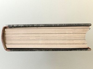 old book collection 1 3D 모델