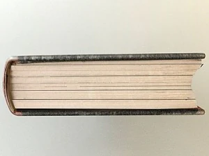 old book collection 1 3D Model