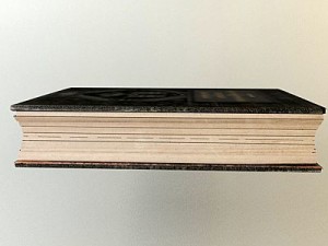 old book collection 1 3D 모델