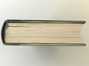 old book collection 1 3D 모델