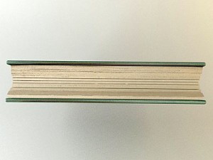 old book collection 1 3D 모델