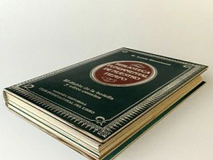 old book 6 3D Model