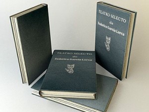 old book 7 3D Model