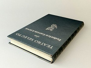 old book 7 3D Модель