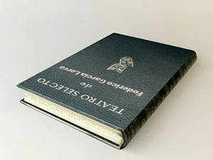 old book 7 3D Model