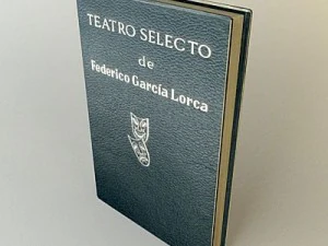 old book 7 3D Model